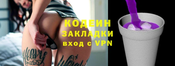 прущие грибы Михайлов