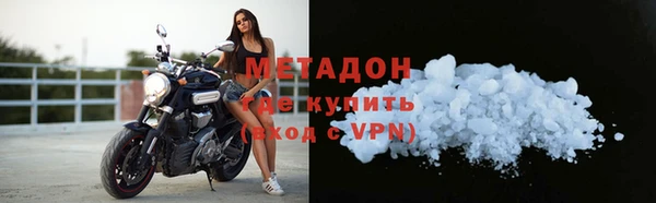 прущие грибы Михайлов