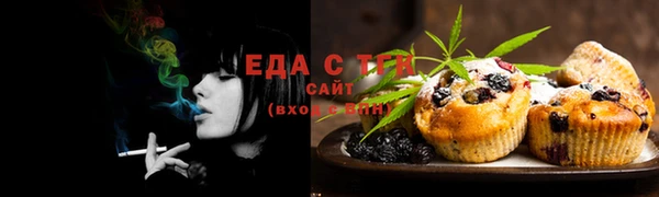 прущие грибы Михайлов