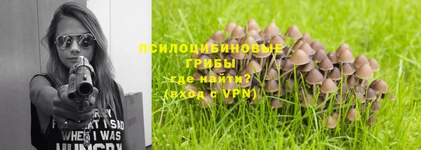 mdpv Горняк