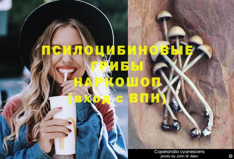 Псилоцибиновые грибы Magic Shrooms  Дрезна 